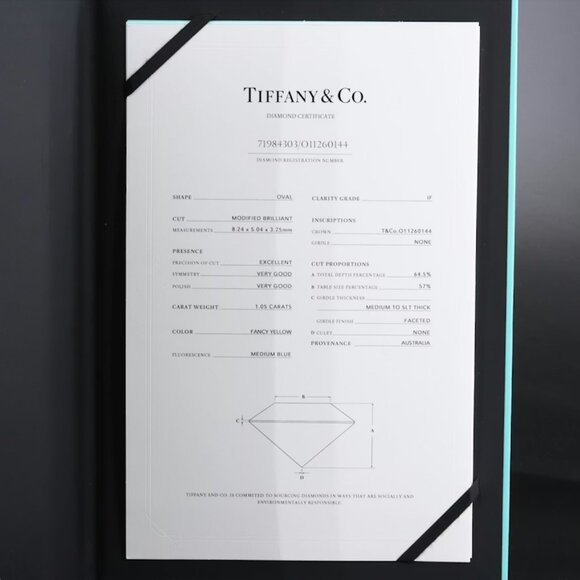 Tiffany & Co. Novo 18K 1.21 CTW IF Fancy Yellow Diamond Engagement Ring - Picture 12 of 12